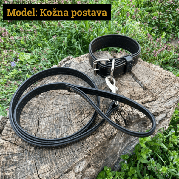 Povodac za pse STANDARD (dužina: 120cm) - Image 3
