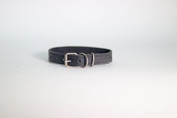 CLASSIC Ogrlica za pse (20mm) - više modela - Image 2
