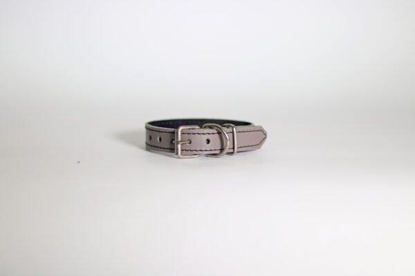 CLASSIC Ogrlica za pse (20mm) - više modela - Image 7