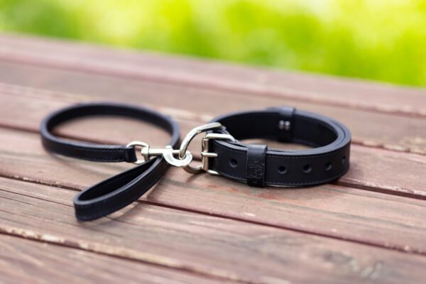Ogrlica za pse (širina: 40mm) - Image 6