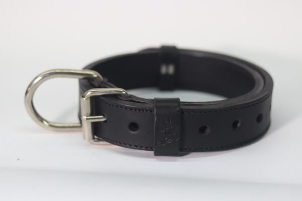 Ogrlica za pse (širina: 40mm) - Image 8