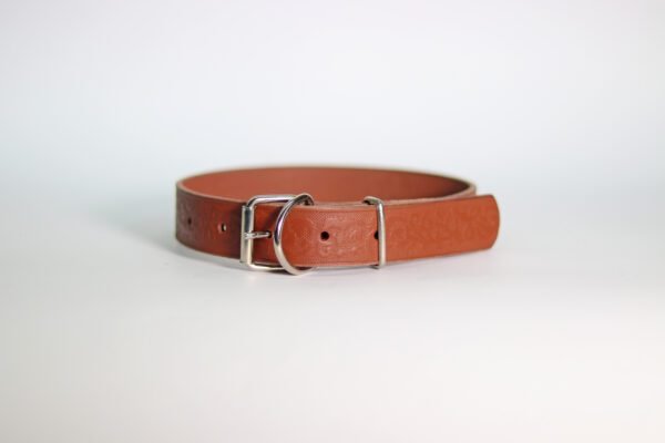 STYLISH Ogrlica za pse (30mm) - više modela - Image 3