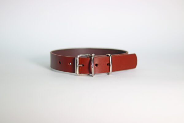 STYLISH Ogrlica za pse (30mm) - više modela - Image 4
