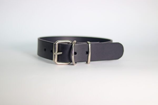 STYLISH Ogrlica za pse (40mm) - više modela - Image 3