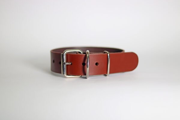 STYLISH Ogrlica za pse (40mm) - više modela - Image 4