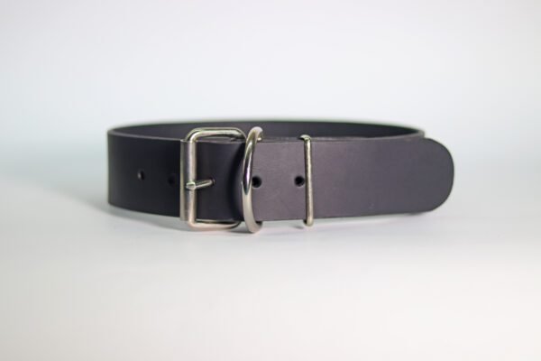 STYLISH Ogrlica za pse (50mm) - više modela