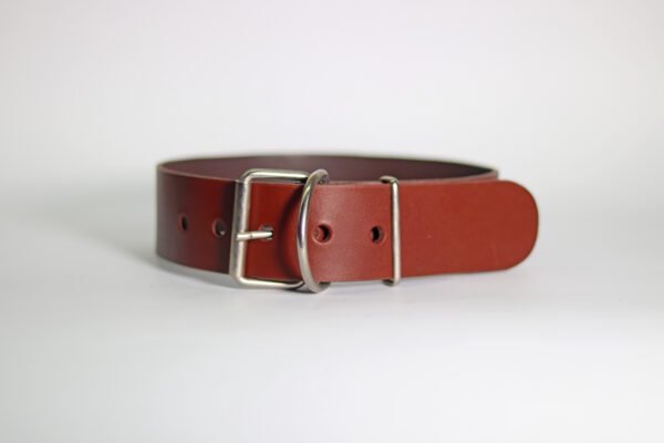 STYLISH Ogrlica za pse (50mm) - više modela - Image 3